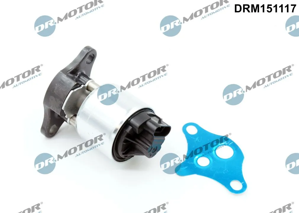 EGR Valve